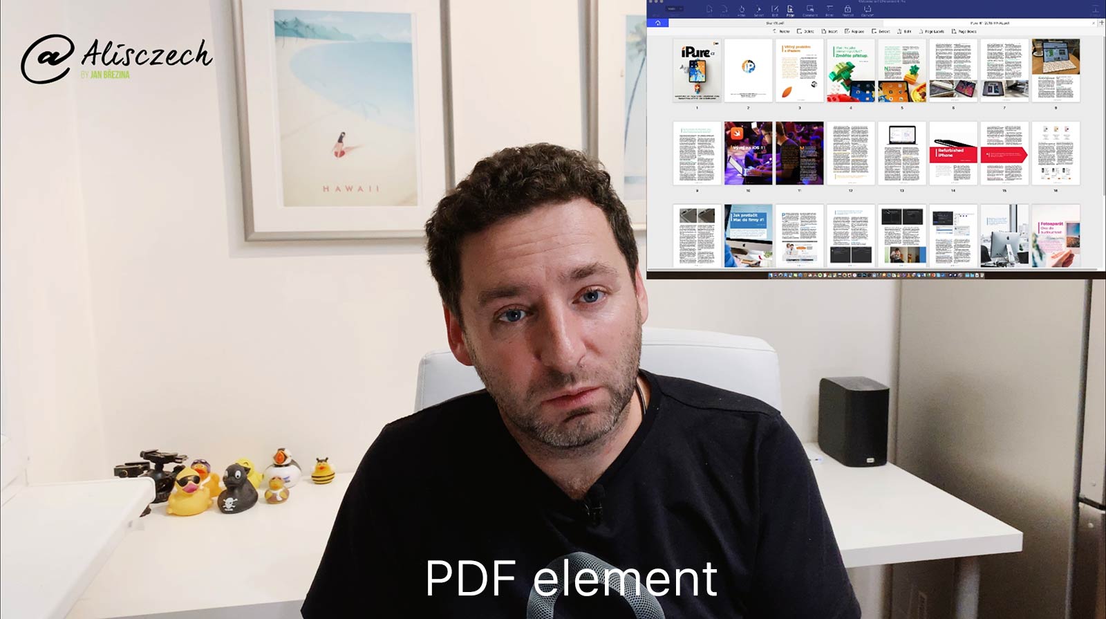 PDF element