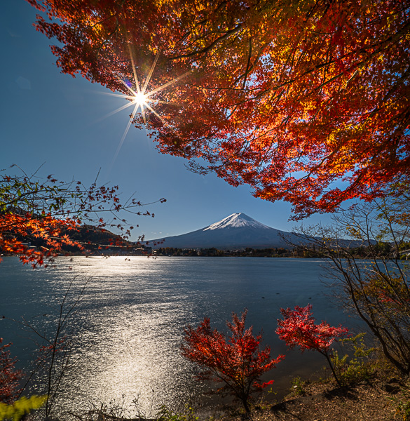 Kalendář Japan by Alisczech 2026 - VIP limitovaná edice - Obrázek 8