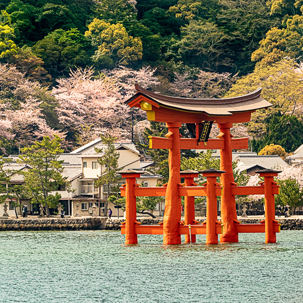 Kalendář Japan by Alisczech 2026 - VIP limitovaná edice - Obrázek 13